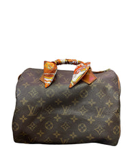 Load image into Gallery viewer, Louis Vuitton Speedy 25
