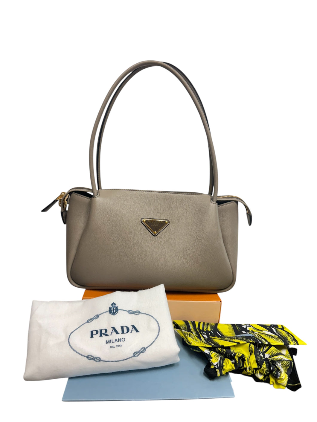 Prada Clay Leather Bag