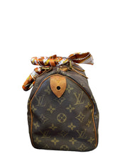 Load image into Gallery viewer, Louis Vuitton Speedy 25
