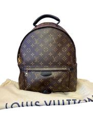 Load image into Gallery viewer, Louis Vuitton Palm Springs MM Backpack
