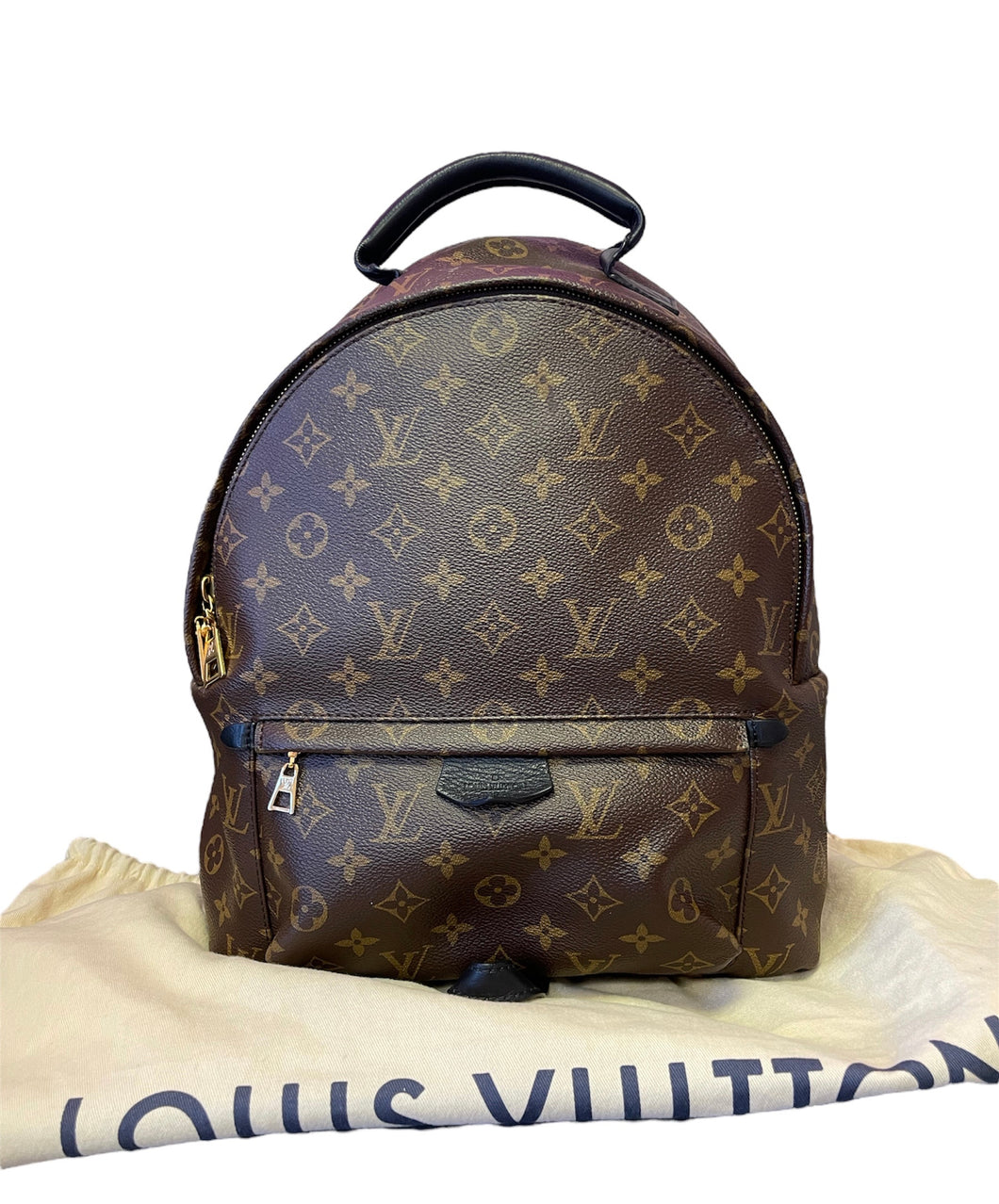 Louis Vuitton Palm Springs MM Backpack