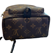 Load image into Gallery viewer, Louis Vuitton monogram palm spring
