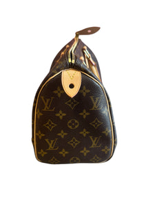 Louis Vuitton Speedy 25