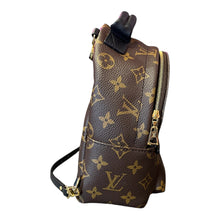 Load image into Gallery viewer, Louis Vuitton monogram palm spring
