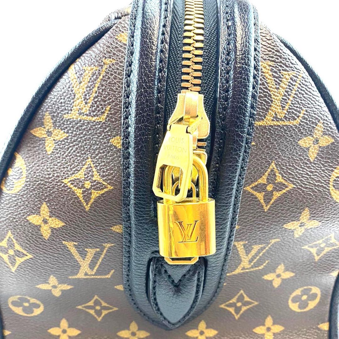 Louis Vuitton Speedy Limited Edition Golden Arrow