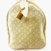 Load image into Gallery viewer, Louis Vuitton Idylle Fusain Speedy 30
