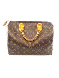 Louis vuitton speedy 25