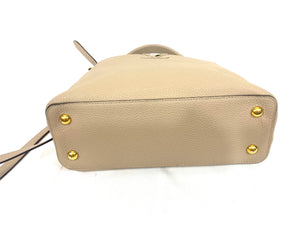 Louis Vuitton Taurillon Capucines PM Handbag/ Crossbody