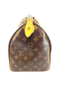 Louis vuitton speedy 25